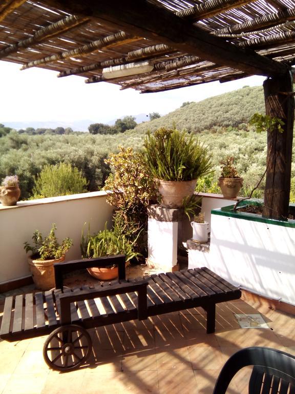 Masseria Sparano Villa Battipaglia Eksteriør billede